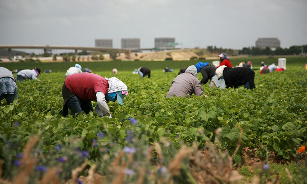 California Expands Healthcare Coverage for Illegal Immigrants
