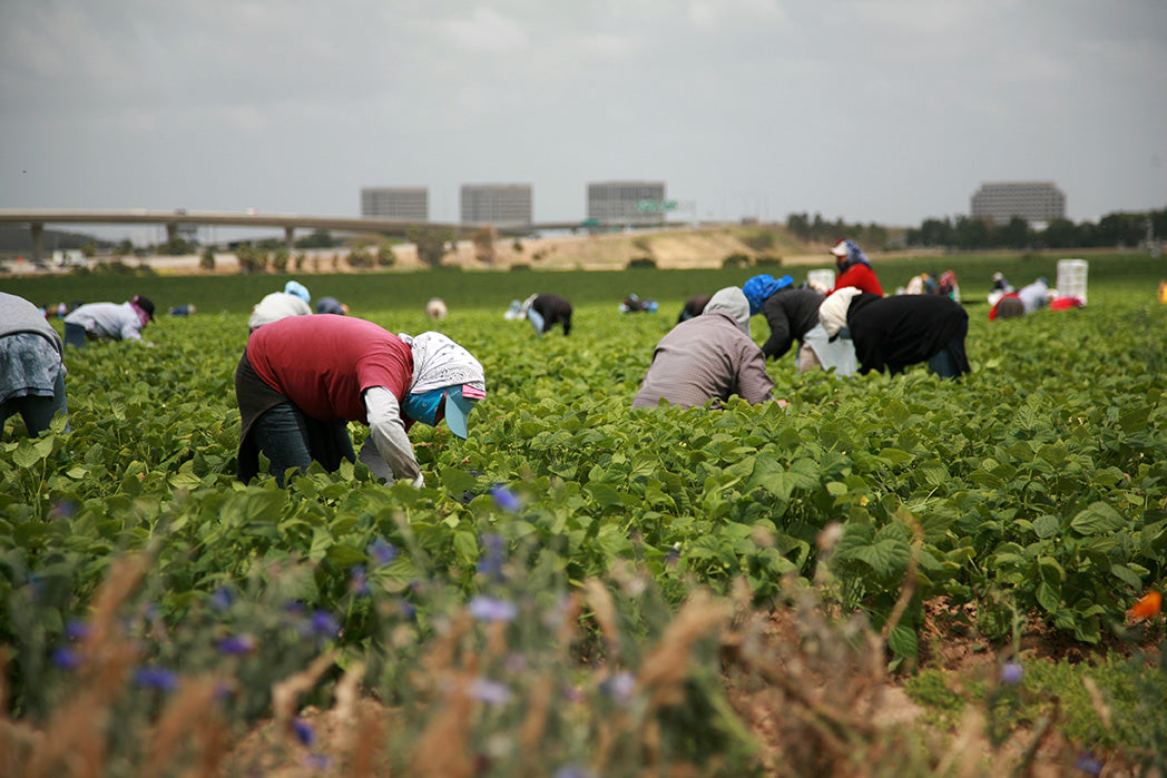 California Expands Healthcare Coverage for Illegal Immigrants
