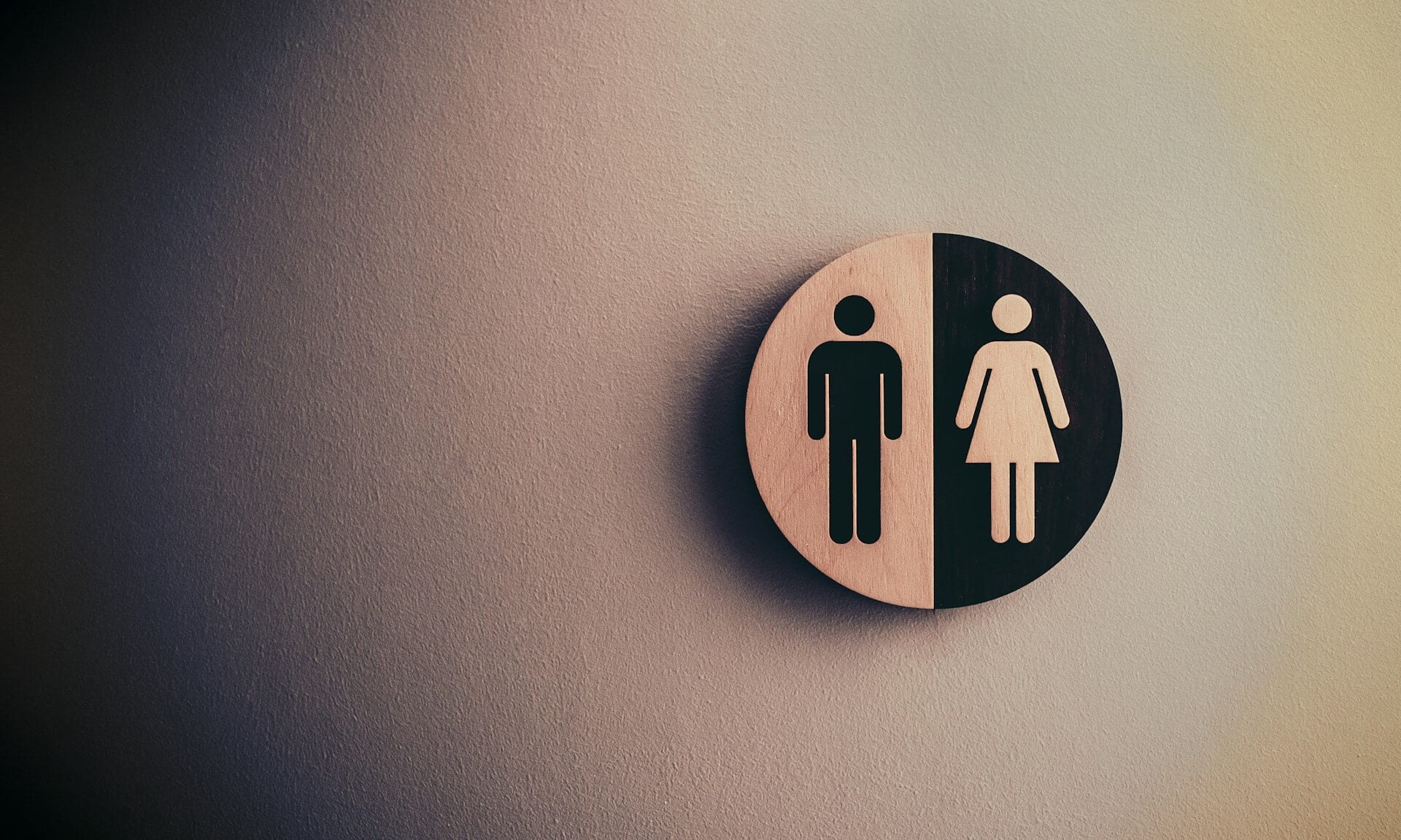 gender theory