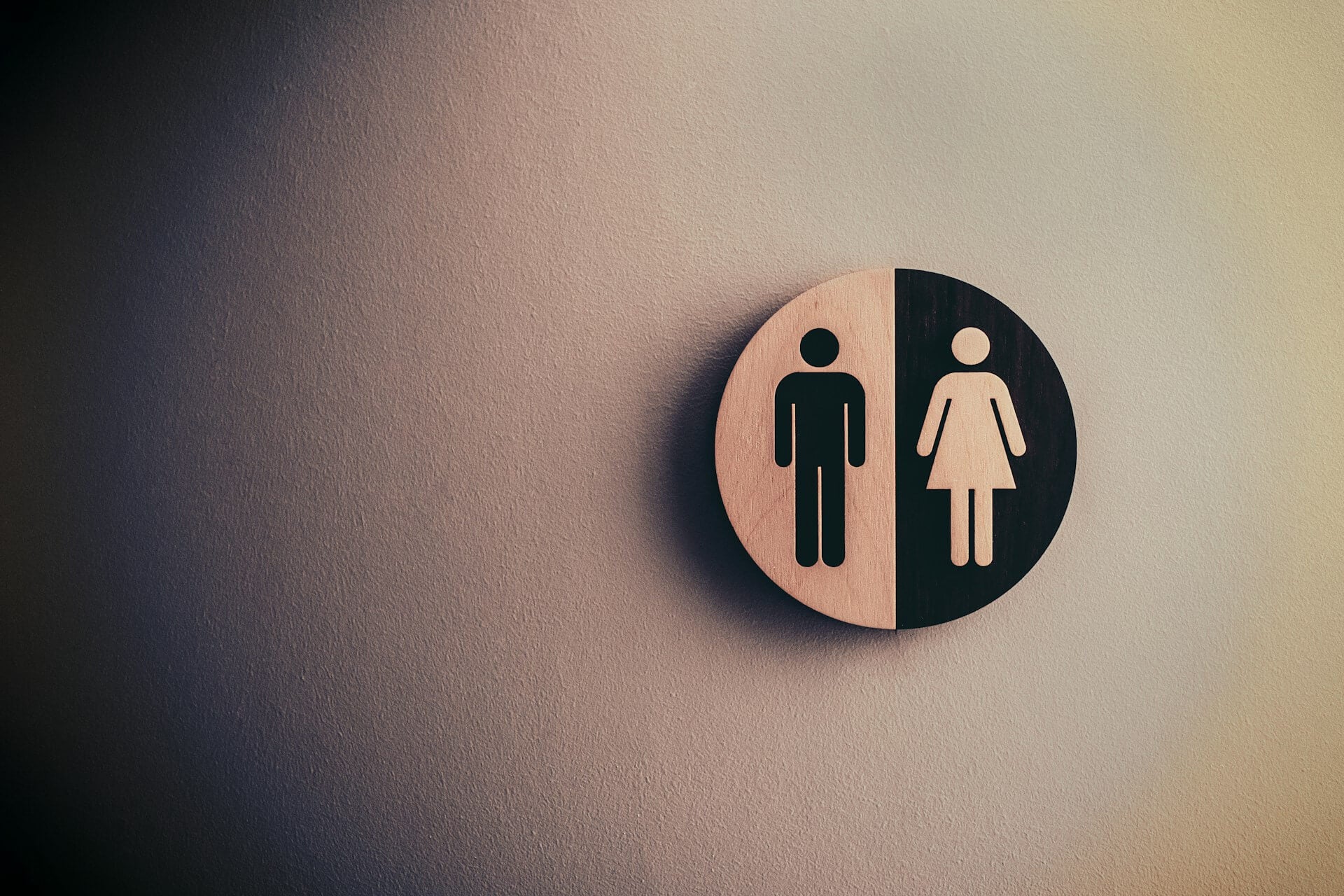 gender theory